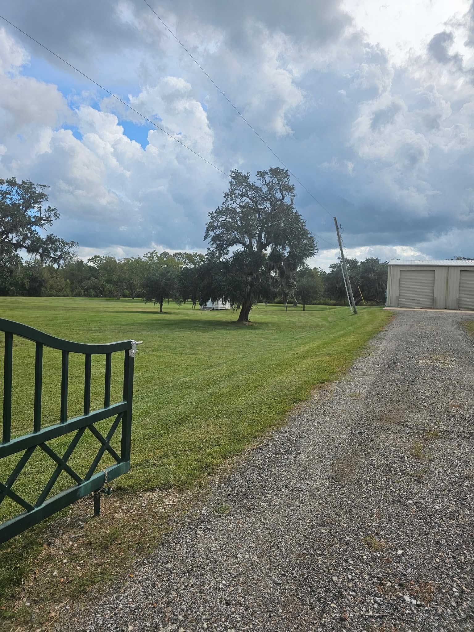 Mown estate grounds seen past an open dark-green farm gate, a gravel drive running up to a white metal shop building, live oaks hung with Spanish moss
