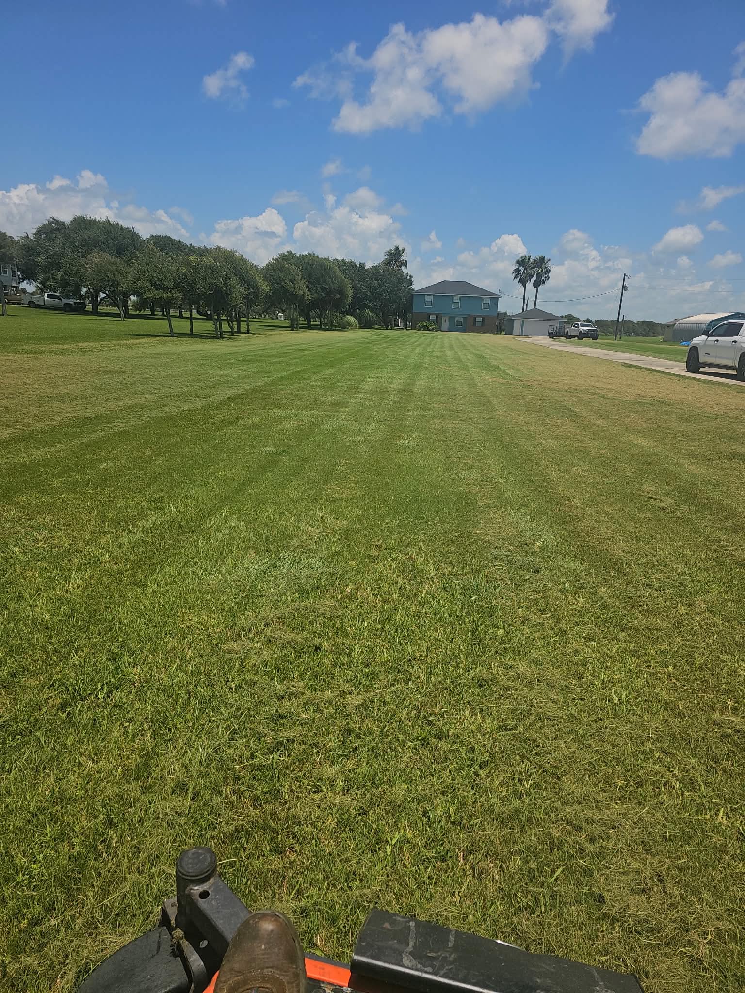 A large lawn mown in long passes, seen from behind the mower deck, running up to a blue two-storey house with palm trees