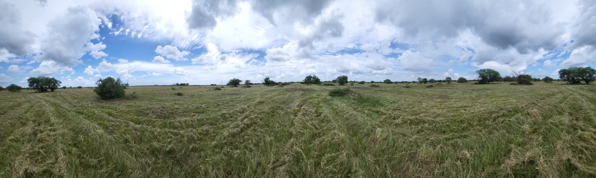 A wide panorama of a large field just finished, windrows of cut grass running away across it under a big cloudy sky